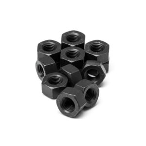 Cold Forged Nuts